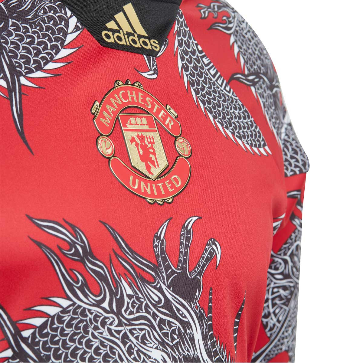 manchester united dragon kit