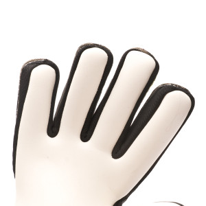 PALM-0