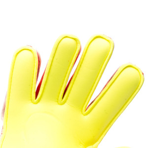 PALM-0