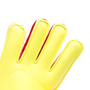 PALM-0