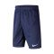 Nike France Stadium Home/Away Kit Shorts 2020-2021 Shorts