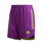 Condivo 20 Niño Glory purple-Team semi solar green