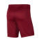 Nike Park III Knit Shorts