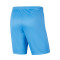 Nike Gebreid Park III Shorts