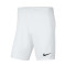 Nike Park III Knit Shorts