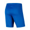 Pantalón corto Park III Knit Royal blue-White