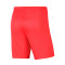 Nike Park III Knit Shorts