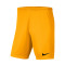 Nike Park III Knit Shorts