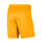 Nike Park III Knit Shorts