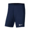 Nike Park III Knit Shorts