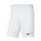Nike Park III Knit Kind Shorts