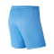 Nike Park III Knit Frau Shorts