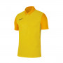 Trophy IV m/c Tour yellow-University gold
