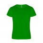 Camimera-Verde Helecho