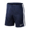 Calções Nike Academy 19 Knit Criança