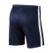Calções Nike Academy 19 Knit Criança