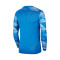 Maillot Nike Park IV GK m/l Enfant