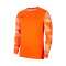 Nike Kids Park IV Goalkeeper Jersey