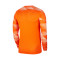 Nike Kids Park IV Goalkeeper Pullover