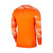 Camiseta Park IV GK m/l Safety orange-White
