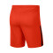Nike Kinderen League Knit II Shorts
