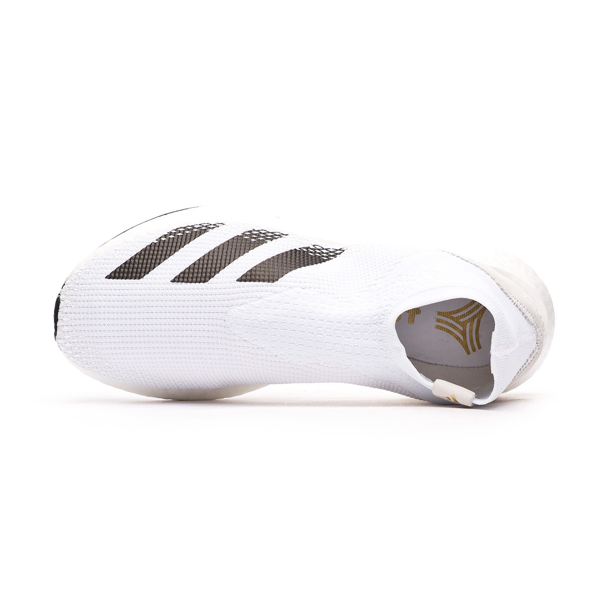 adidas predator tr