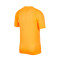 Nike Dri-Fit Mercurial Strike T-Shirt