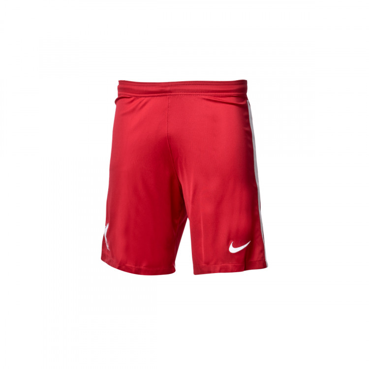 Pantalon Corto Nike Rojo on Sale, 52% OFF | www.bravoplaya.com