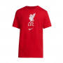 Liverpool FC Evergreen Crest 2020-2021 Gym red-White