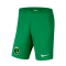 Nike Park II Knit EF Deportes Jucar Shorts