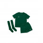 Park niño Pine Green