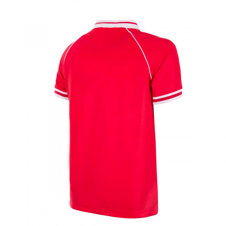 camiseta-copa-sl-benfica-1994-95-retro-football-shirt-red-1.jpg