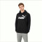 Puma ESS hoodie met groot logo TR Sweatshirt
