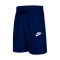 Nike Sportkleding voor Kinderen Shorts