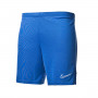 Academy 21 Knit Royal
