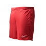Academy 21 Knit University Red-White