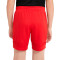 Nike Kids Academy 21 Shorts