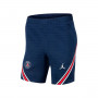 Paris Saint-Germain FC Training 2021-2022 Midnight navy