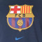 Camiseta Nike FC Barcelona Fanswear 2021-2022