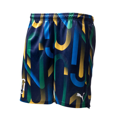 puma hero shorts