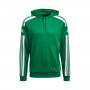 Squadra 21 Hoody Niño Green-White