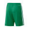 Pantalón corto Squadra 21 Green-White