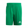 Squadra 21 Enfant-Team green-White