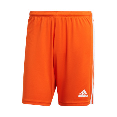 Squadra 21 Shorts