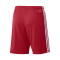 Pantaloncini adidas Squadra 21