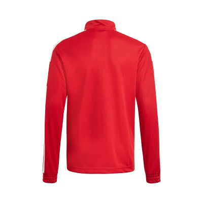 Jacket adidas Squadra 21 Training Power 