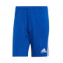 Squadra 21-Royal Blue-White