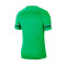 Camiseta Academy 21 Training m/c Light Green Spark-White-Pine Green