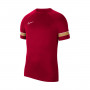Academy 21 Training m/c Red-White-Jersey Gold