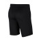 Nike Park 20 Bermuda Shorts